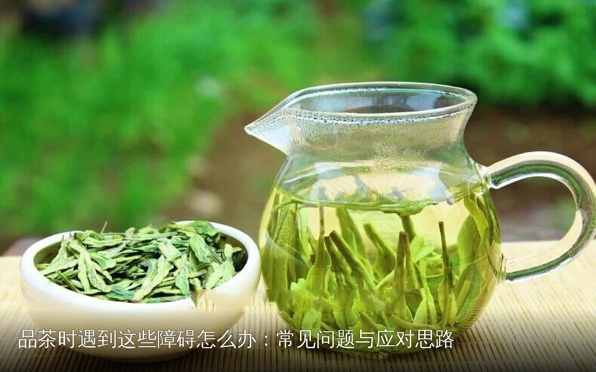 品茶时遇到这些障碍怎么办：常见问题与应对思路